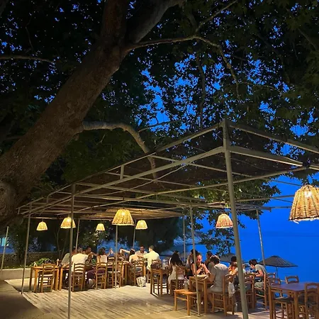 Denizevi Karvunyi * Marmara Adasi