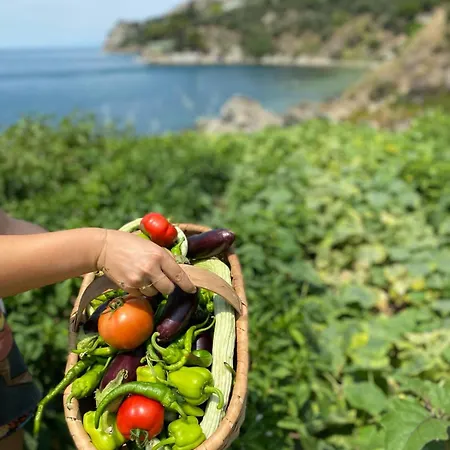 Denizevi Karvunyi Hotel