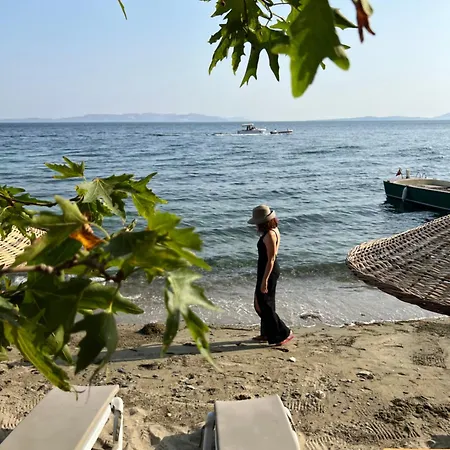 Denizevi Karvunyi * Marmara Adasi