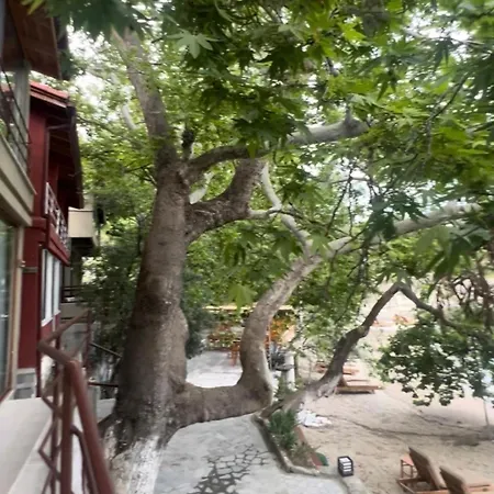 酒店 Denizevi Karvunyi 马尔马拉岛